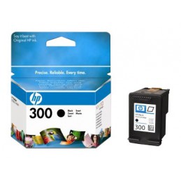 CARTUCHO HP 300 (CC640EE)...